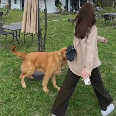 谍与蝶